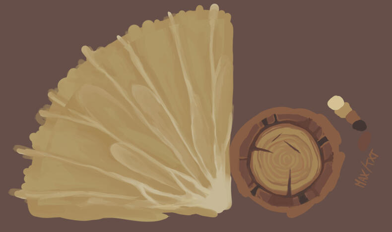 2img